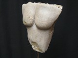 Brust11