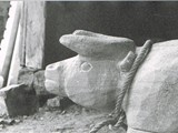 Bäuerin3
