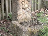 Faun