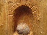 Haus der Schnecke19
