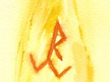 logostein1