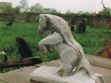 Pferd