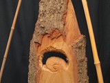 Schneckenhaus3