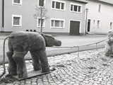 Standpunkte1