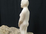 Venus11