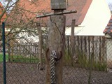 wachterneu4